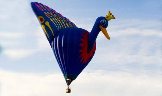 Peacock Funny Air Balloon Picture