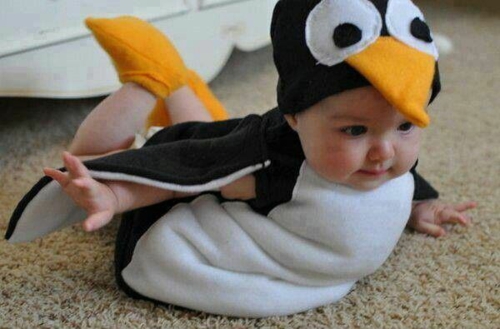Penguin Costume Baby Funny Picture