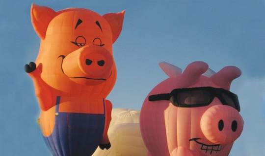 Pigs Funny Air Balloon Image