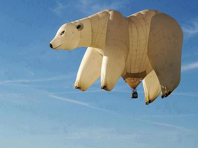Polar Bear Funny Air Balloon Image