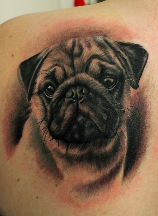 Realistic Pug Face Tattoo On Left Back Shoulder By Ion