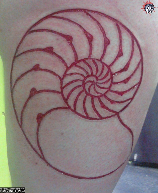 Red Ink Outline Nautilus Shell Tattoo Design