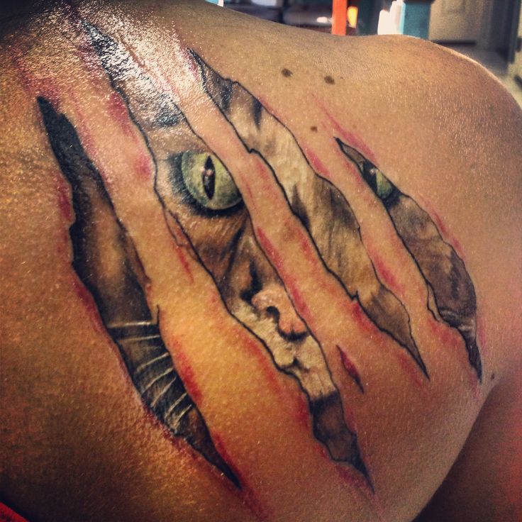 Ripped Skin Leopard Scratches Tattoo On Right Back Shoulder