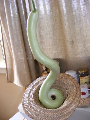 Snake Shape Loki Vegetable Funny Picture