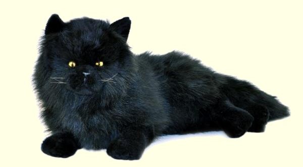 Stuffed Black Persian Cat