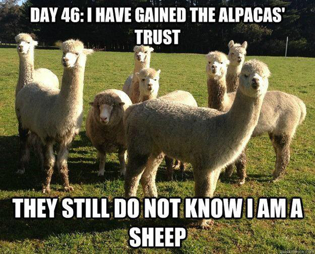 They Still Do Not Know I Am A Sheep Funny Meme