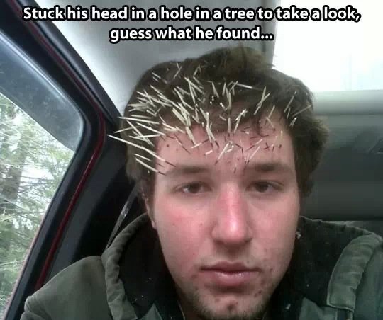 Thorns On Head Funny Picture