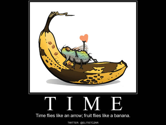 Time Flies Like An Arrow Fruit Flies Like A Banana Funny Poster
