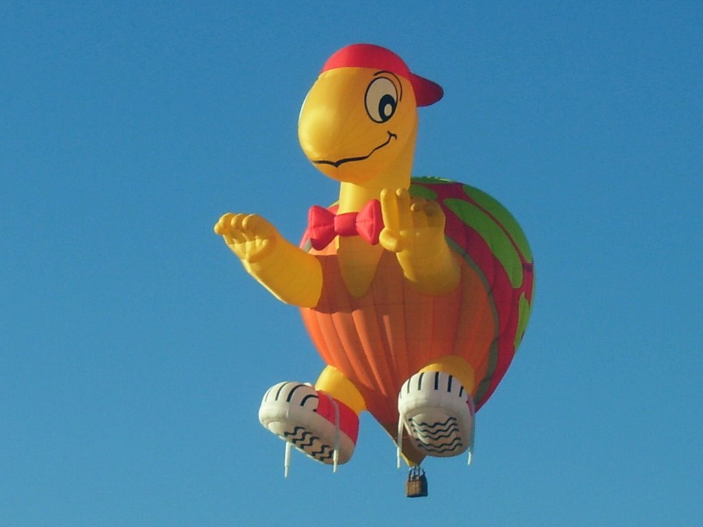 Tortoise Funny Air Balloon Picture