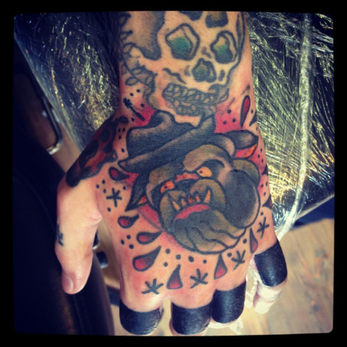 Traditional Bulldog Head Tattoo On Hand