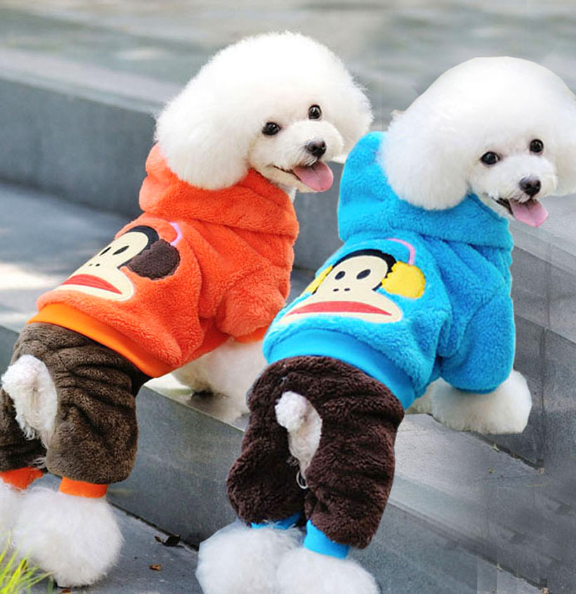 Two Cute White Poodle Dogs Wearing Tshirts