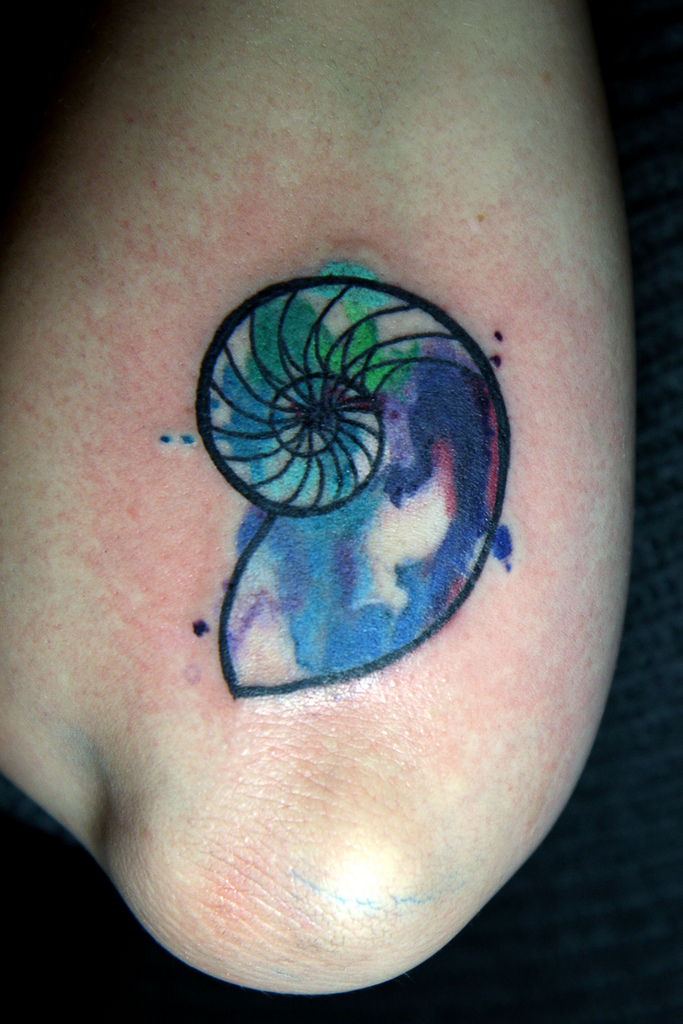 Watercolor Nautilus Shell Tattoo Design