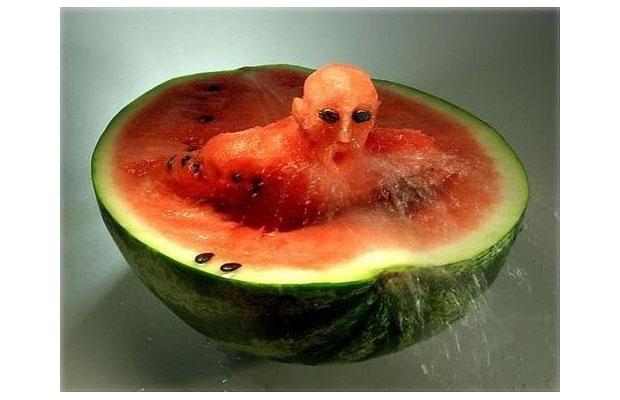 Watermelon Food Funny Art Image