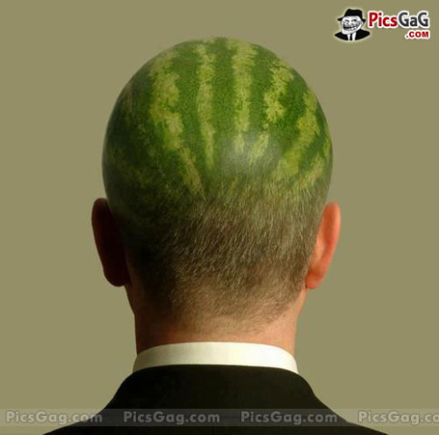 Watermelon Head Funny Picture