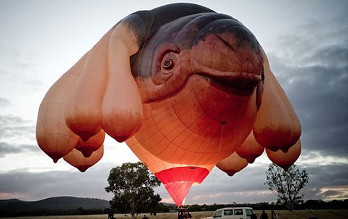 Whale Shape Funny Air Balloon Image