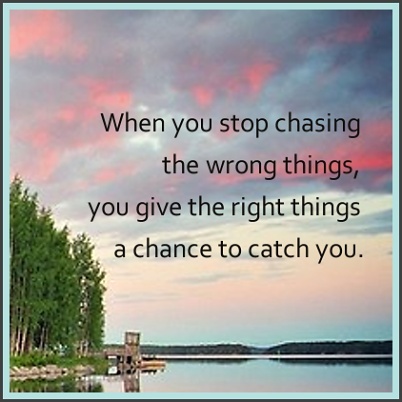 When you stop chasing the wrong things... you give the right things a chance to catch you (14)