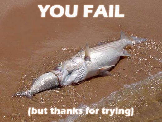 You Fail But Thanks For Trying Funny Picture