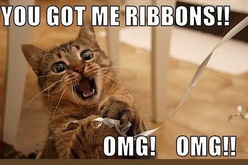 You Got Me Ribbons Funny Cat Meme