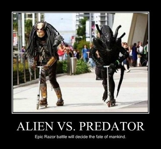 Alien Vs Predator Funny Poster