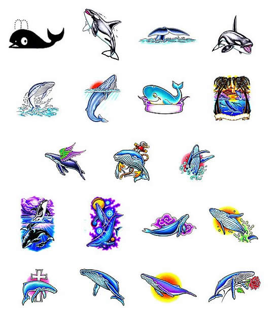 3 Cool Whale Tattoo Designs And Samples