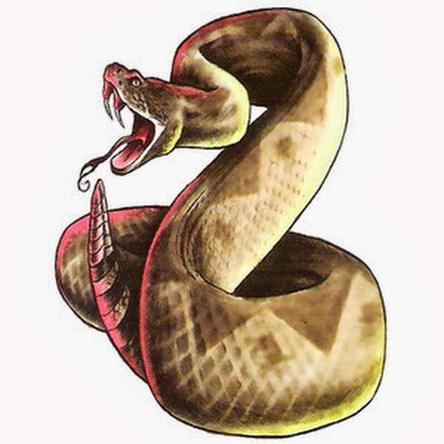 Awesome 3D Rattlesnake Tattoo Design