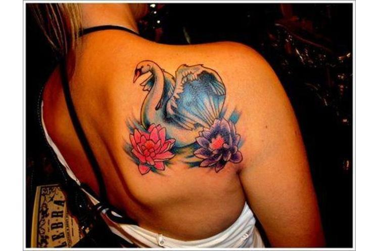 Awesome Swan With Two Lotus Tattoo On Right Back Shoulder