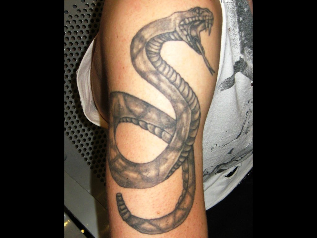 Black And Grey Rattlesnake Tattoo On Half Sleeve