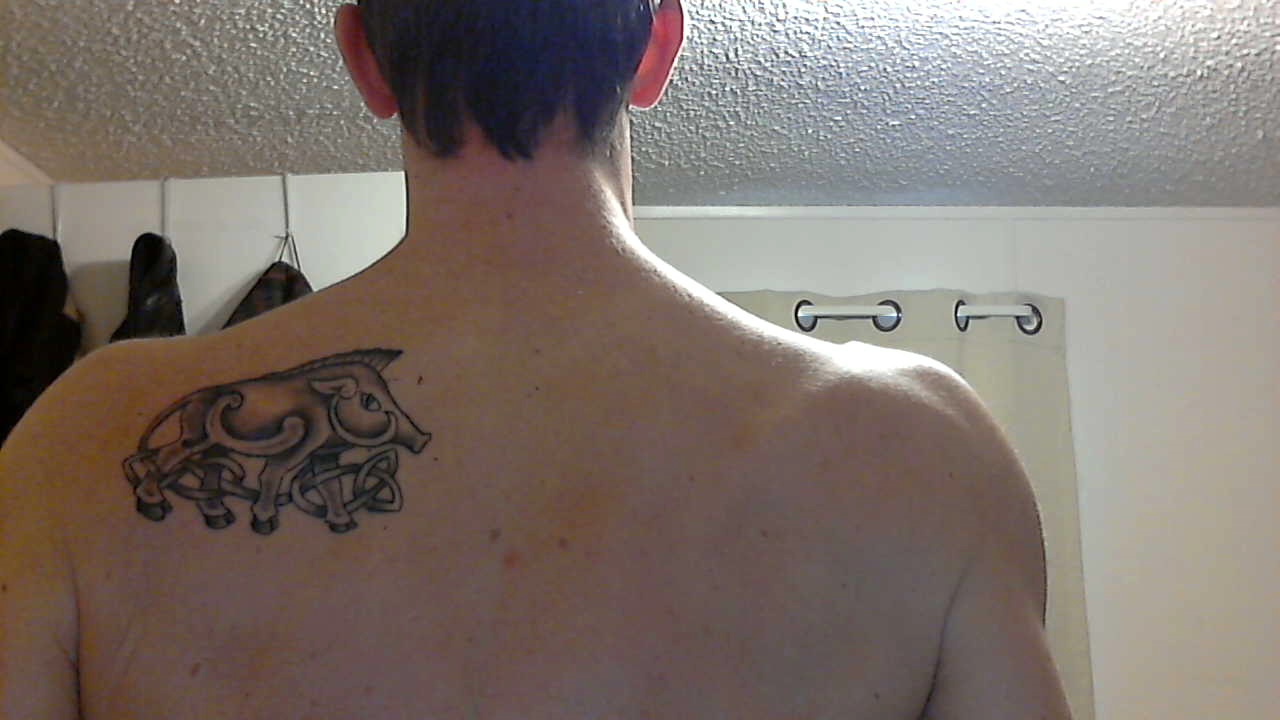 Black Celtic Boar Tattoo On Man Left Back Shoulder By Adam