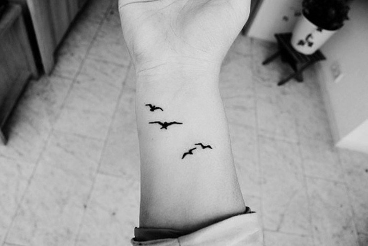 15 Beautiful Seagull Tattoo Designs, Images And Pictures