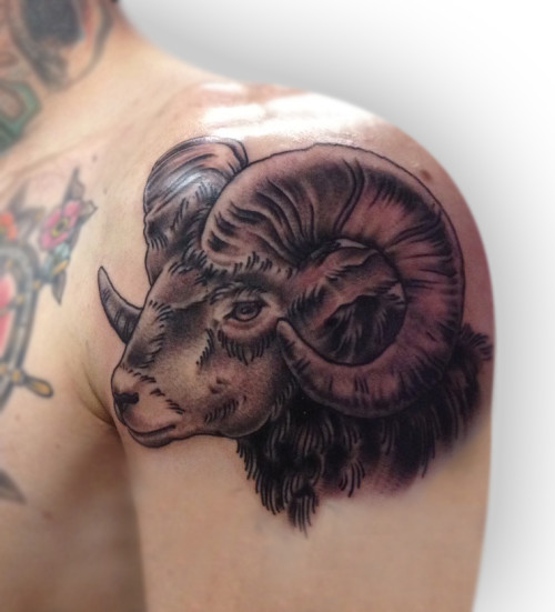 Black Ink Sheep Head Tattoo On Left Shoulder