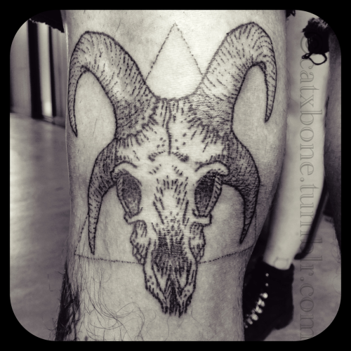 Black Ink Sheep Skull Tattoo Design