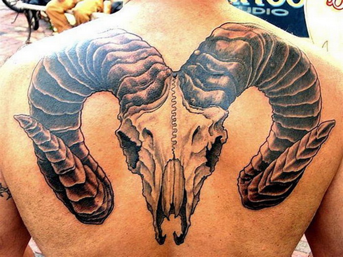 Black Ink Sheep Skull Tattoo On Upper Back