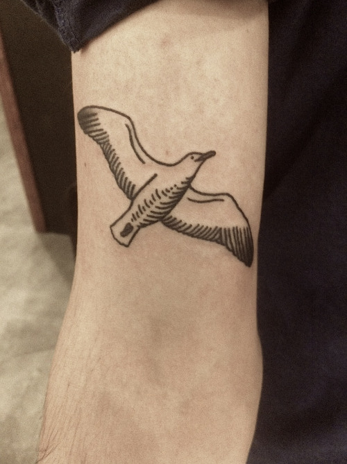 Black Outline Seagull Tattoo Design For Sleeve