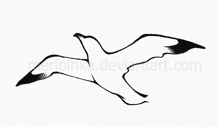 Black Outline Seagull Tattoo Stencil By Melissa