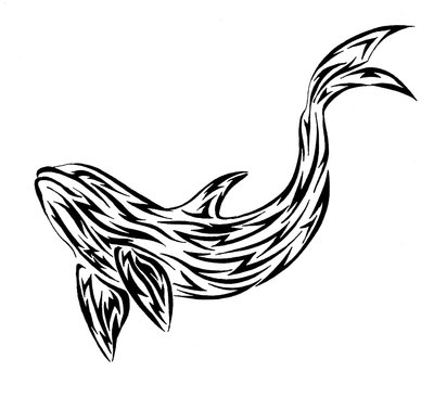 Black Tribal Whale Tattoo Stencil By Allison O Neil