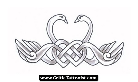 Celtic Two Swan Tattoo Design
