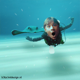 Diver Funny Animated Image