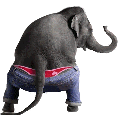 Elephant Waist Twisting Funny Animated Picture