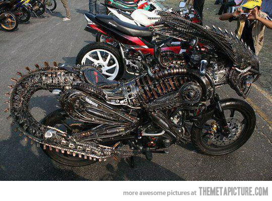 Funny Alien Bike Picture