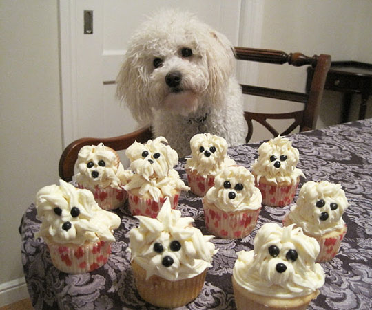 Funny Cute Cupcakes Dog Image