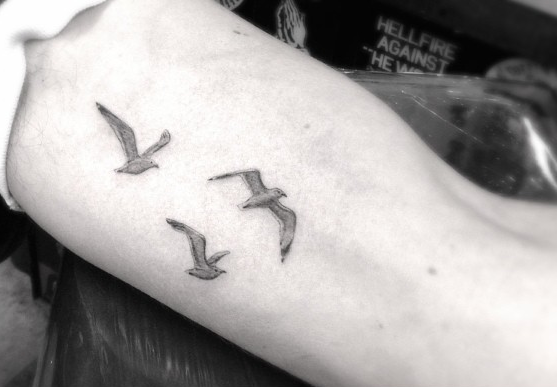 Grey Ink Three Flying Seagull Tattoo On Bicep