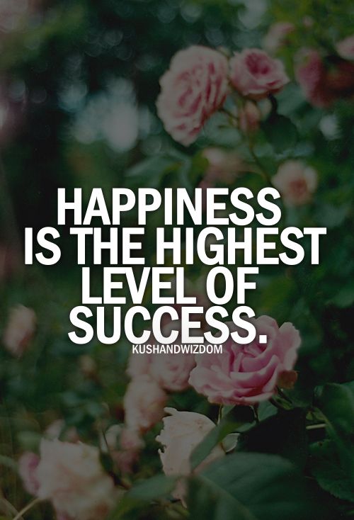 Happiness is the highest level of success