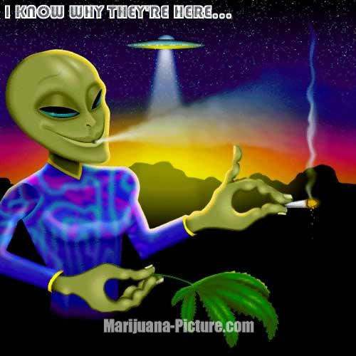 I Know They Are Here Funny Alien Smoking Picture