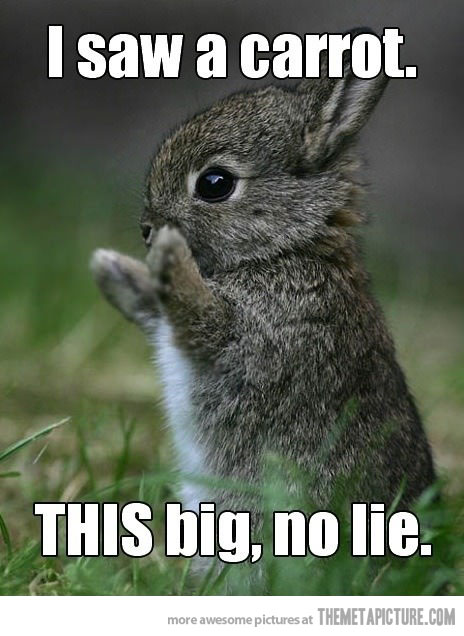 I Saw A Carrot This Big No Lie Funny Cute Bunny