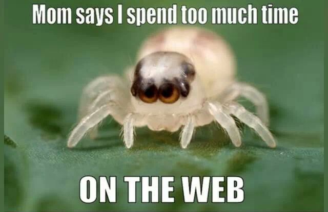 Mom Says I Spend Too Much Time On The Web Funny Cute Spider Meme