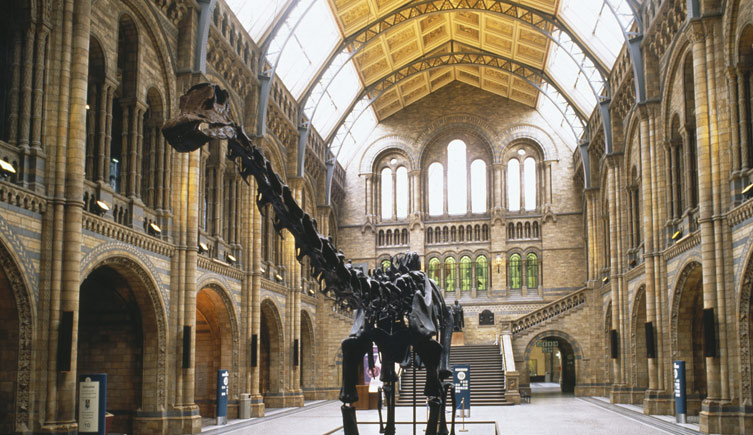 Natural History Museum London - Hintze Hall