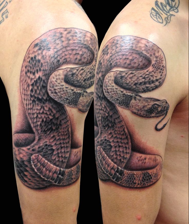 Rattlesnake Tattoo On Right Half Sleeve