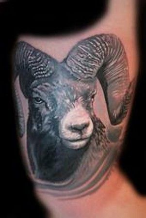 Realistic Sheep Head Tattoo Design