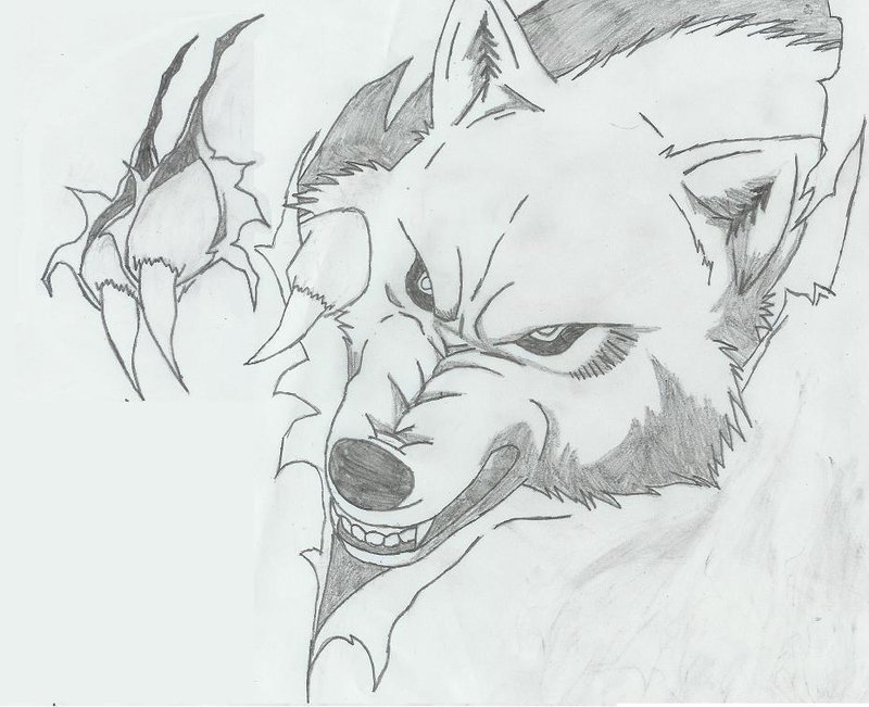 Ripped Skin Angry Wolf Tattoo Design by TPee