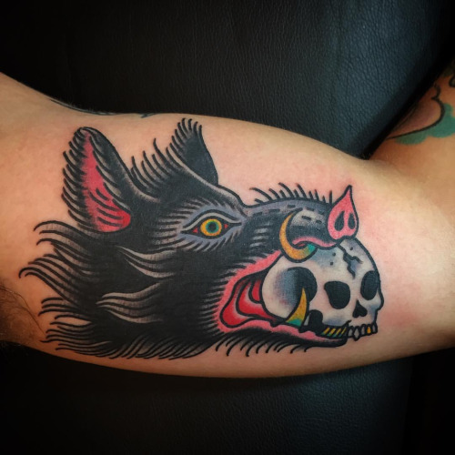 Skull On Boar Mouth Tattoo On Bicep